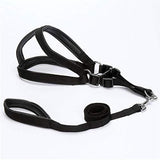 Dog Harness Vest Strap With Leash